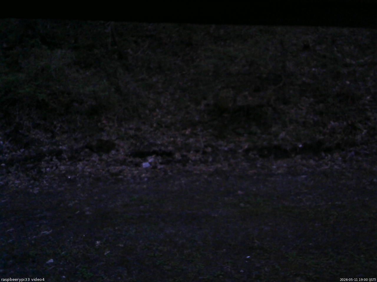 長野県菅平高原 ゆたか山荘 東側(坂下) 2026/05/11 19:00