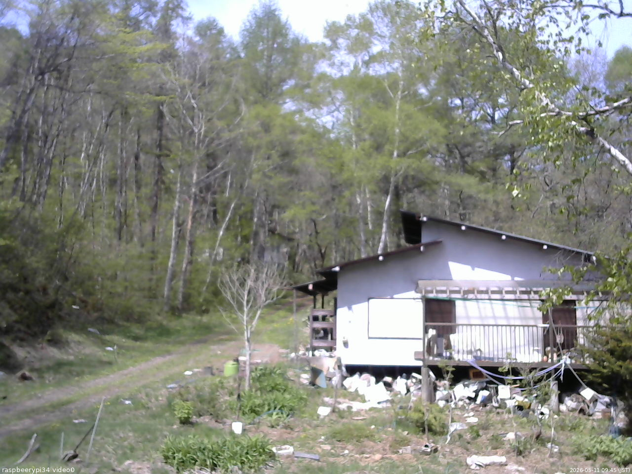 長野県菅平高原 ゆたか山荘 西側(坂上) 2026/05/11 09:45
