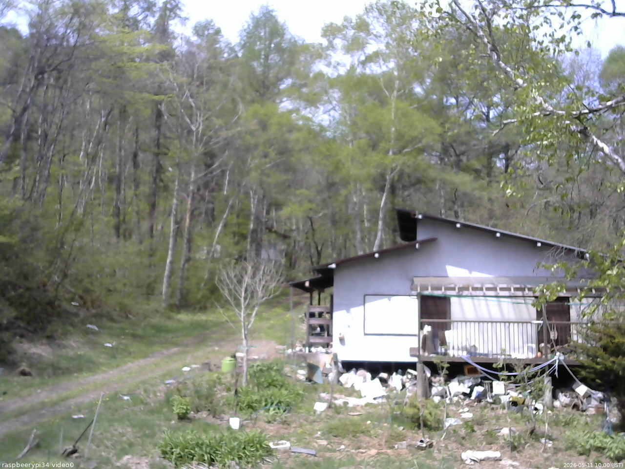長野県菅平高原 ゆたか山荘 西側(坂上) 2026/05/11 10:00