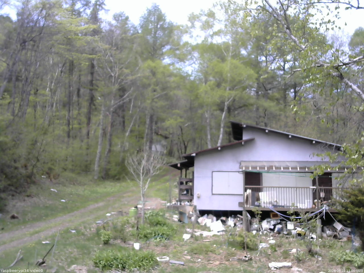 長野県菅平高原 ゆたか山荘 西側(坂上) 2026/05/11 11:00