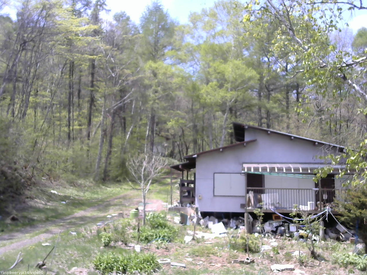 長野県菅平高原 ゆたか山荘 西側(坂上) 2026/05/11 11:30