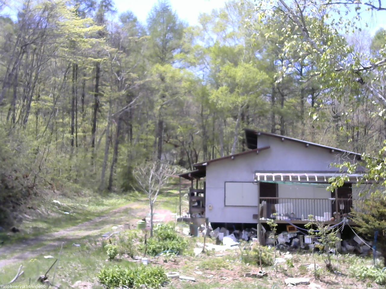 長野県菅平高原 ゆたか山荘 西側(坂上) 2026/05/11 12:00