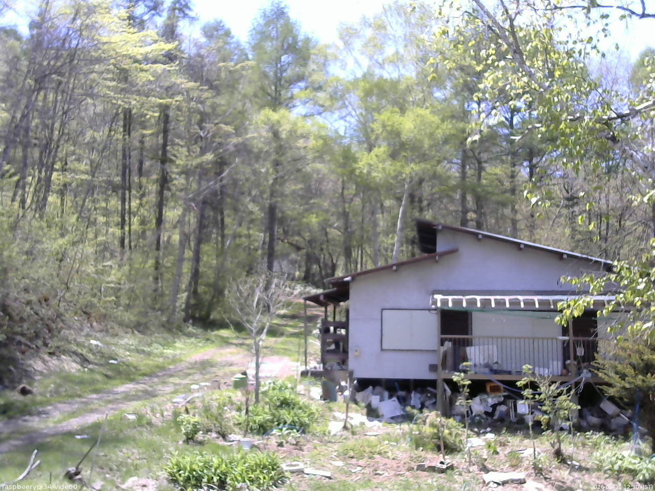 長野県菅平高原 ゆたか山荘 西側(坂上) 2026/05/11 12:30