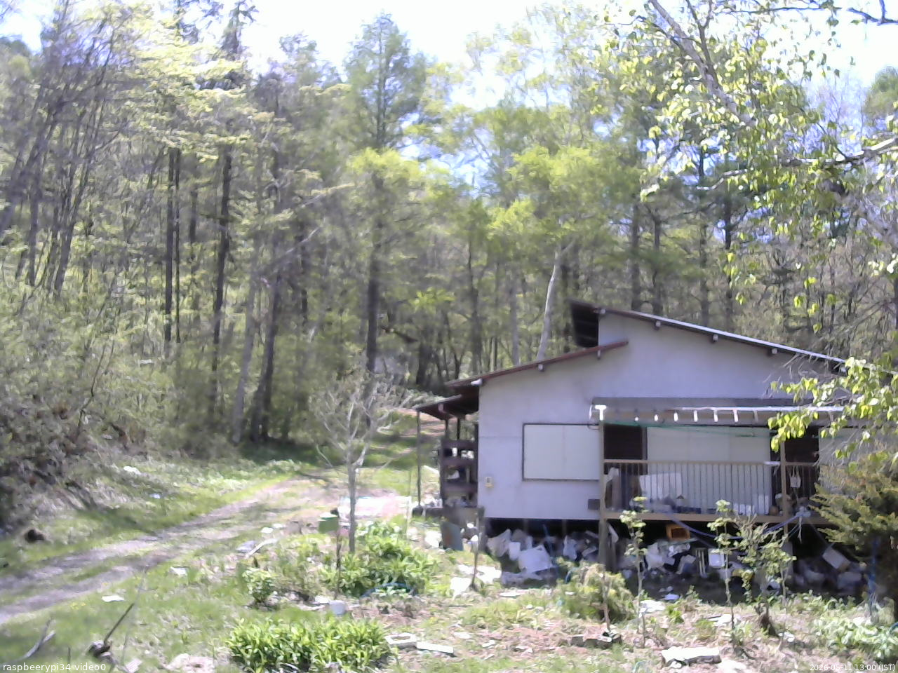 長野県菅平高原 ゆたか山荘 西側(坂上) 2026/05/11 13:00