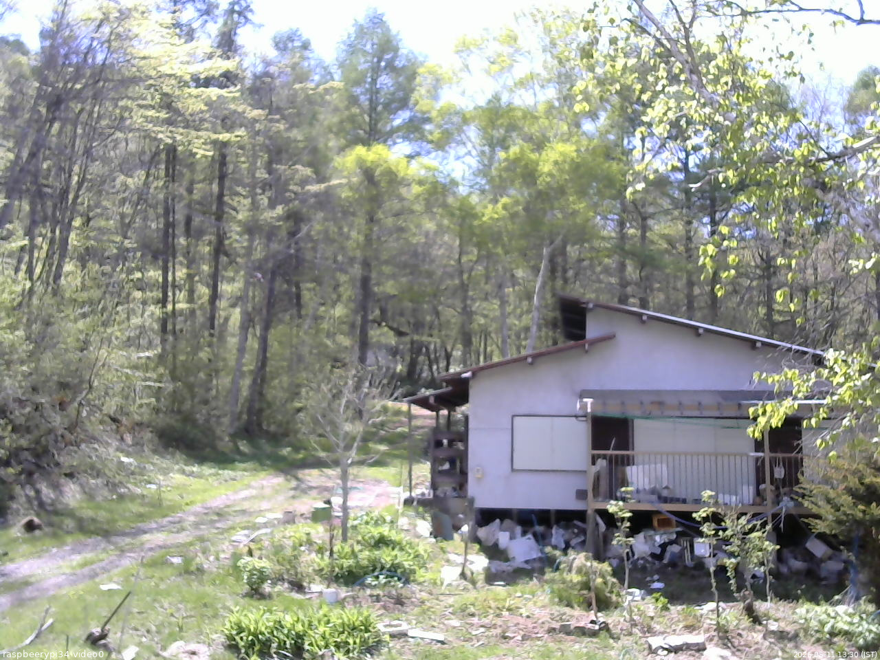 長野県菅平高原 ゆたか山荘 西側(坂上) 2026/05/11 13:30