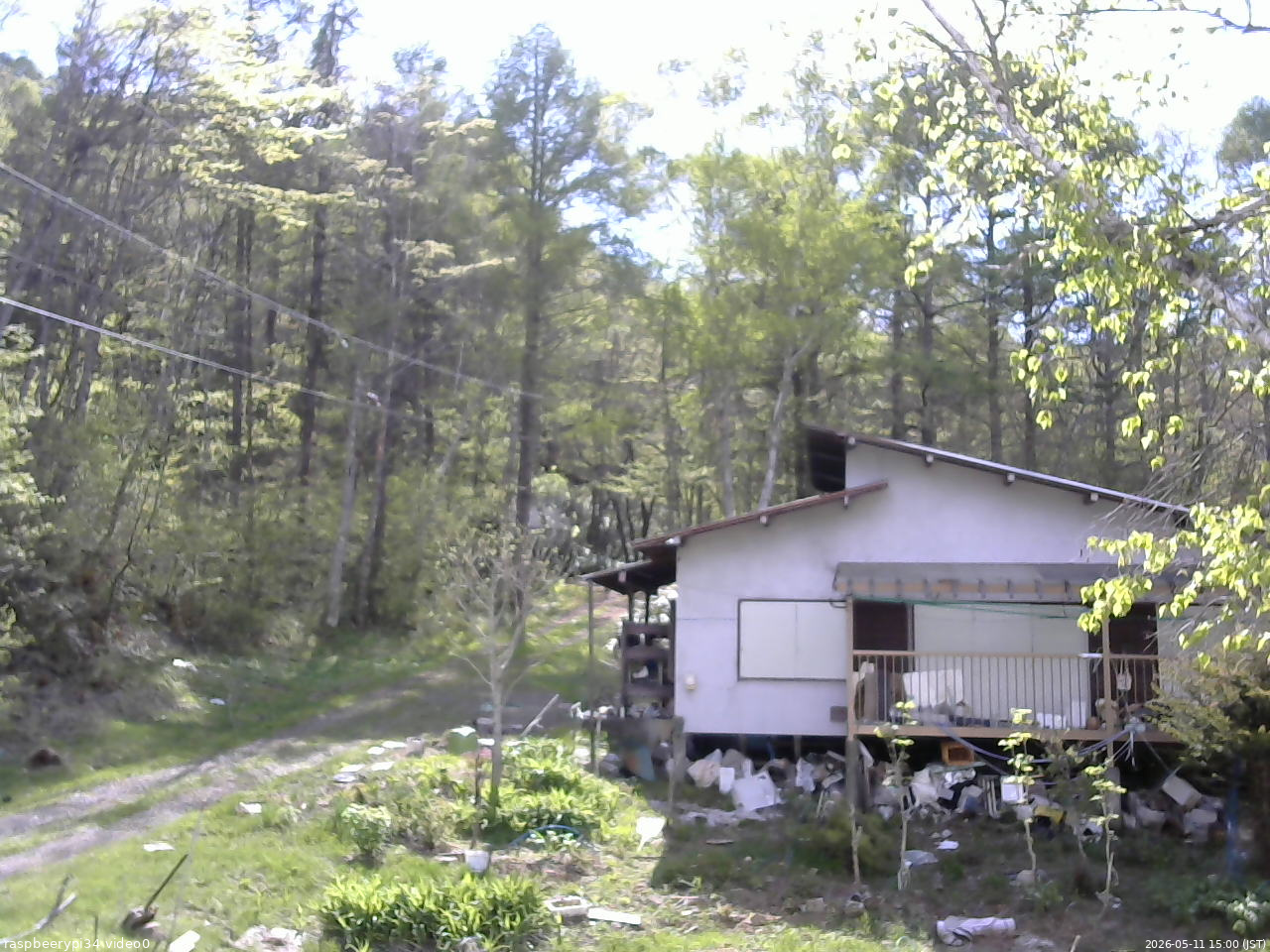 長野県菅平高原 ゆたか山荘 西側(坂上) 2026/05/11 15:00