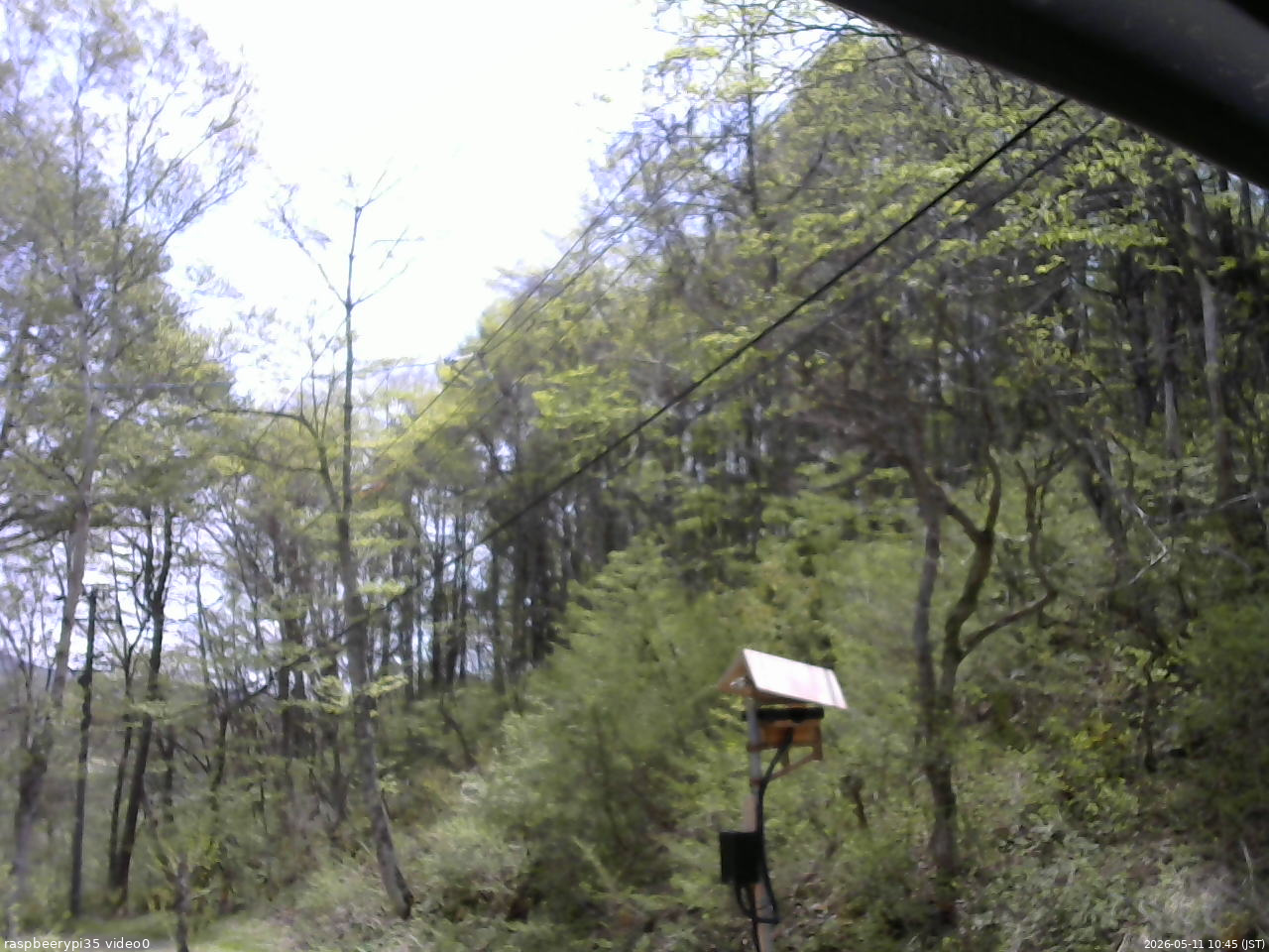 長野県菅平高原 ゆたか山荘 温度計 2026/05/11 10:45