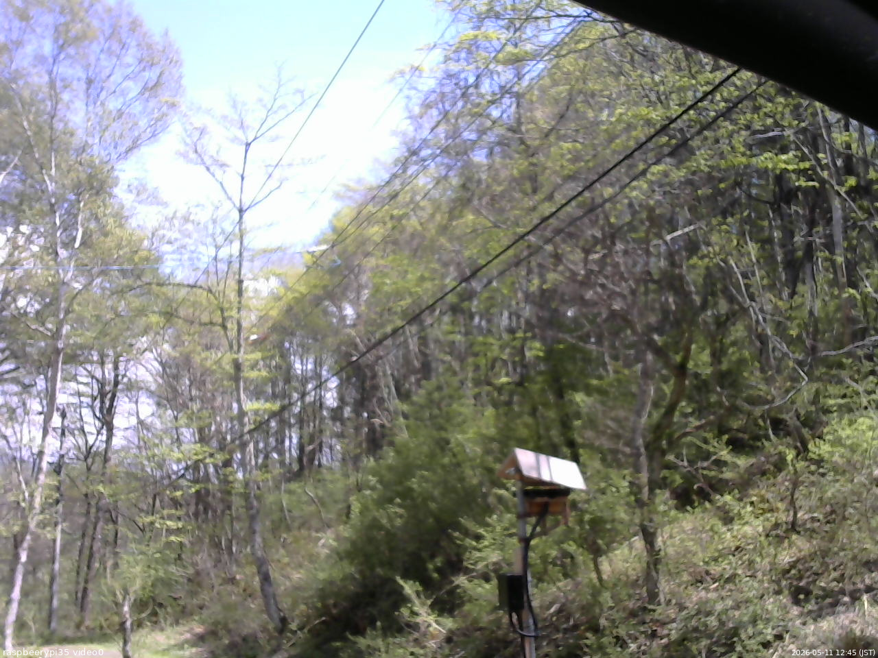 長野県菅平高原 ゆたか山荘 温度計 2026/05/11 12:45