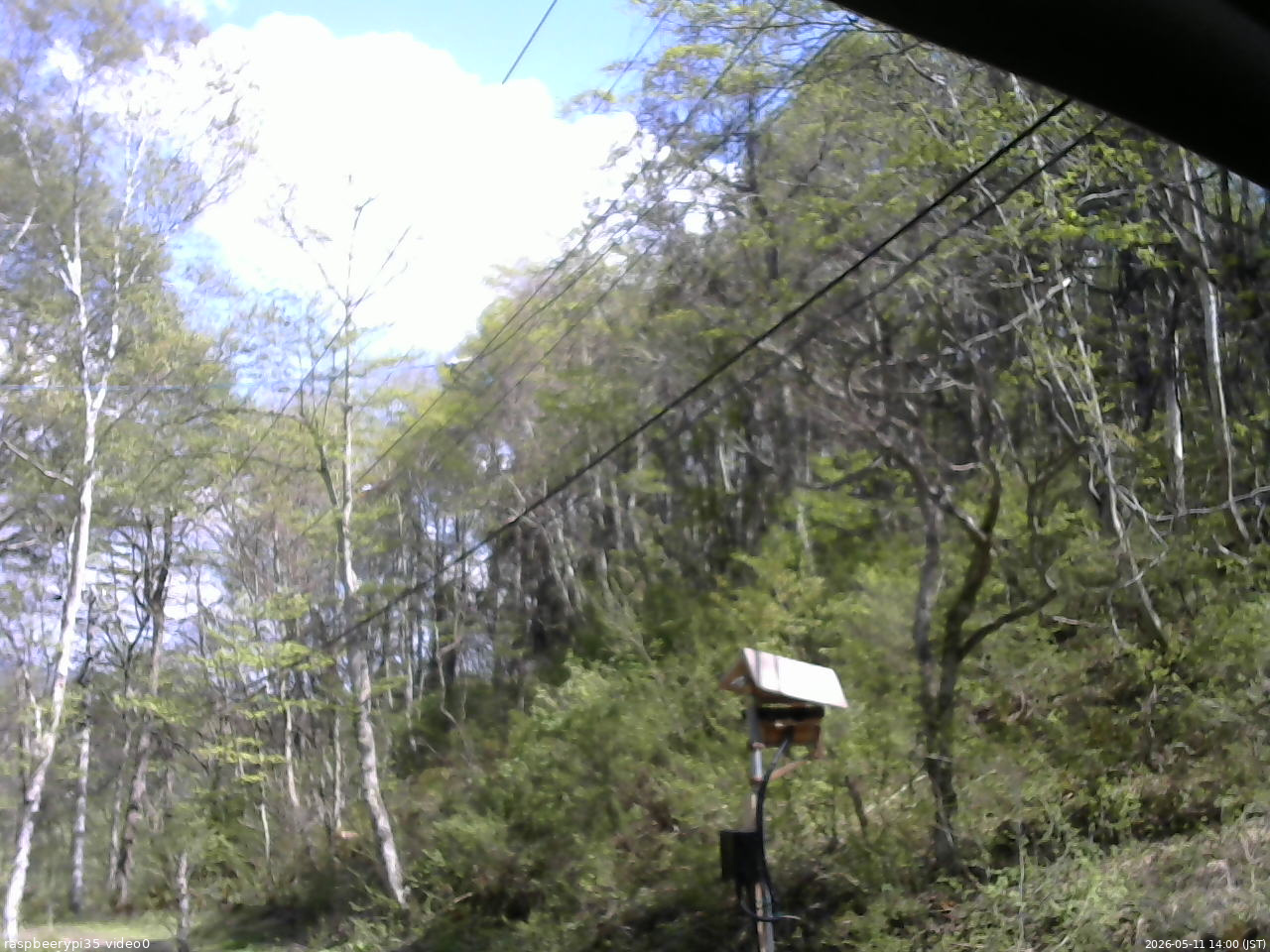 長野県菅平高原 ゆたか山荘 温度計 2026/05/11 14:00