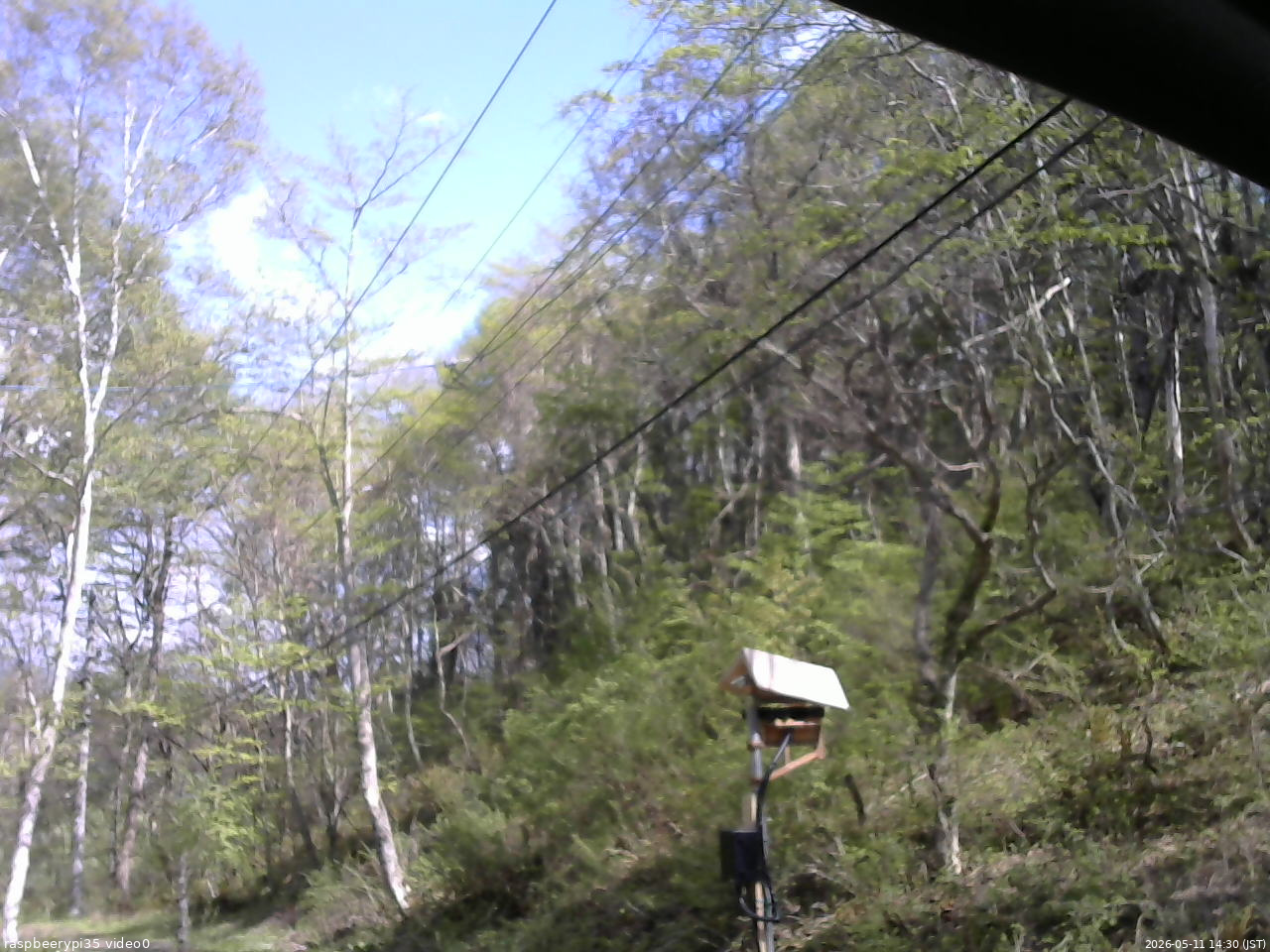 長野県菅平高原 ゆたか山荘 温度計 2026/05/11 14:30