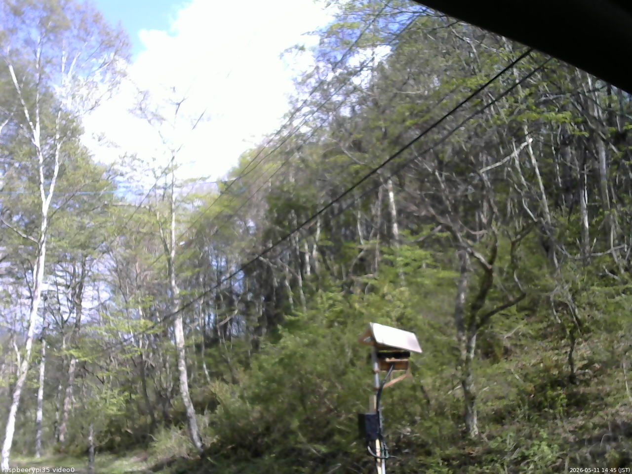長野県菅平高原 ゆたか山荘 温度計 2026/05/11 14:45