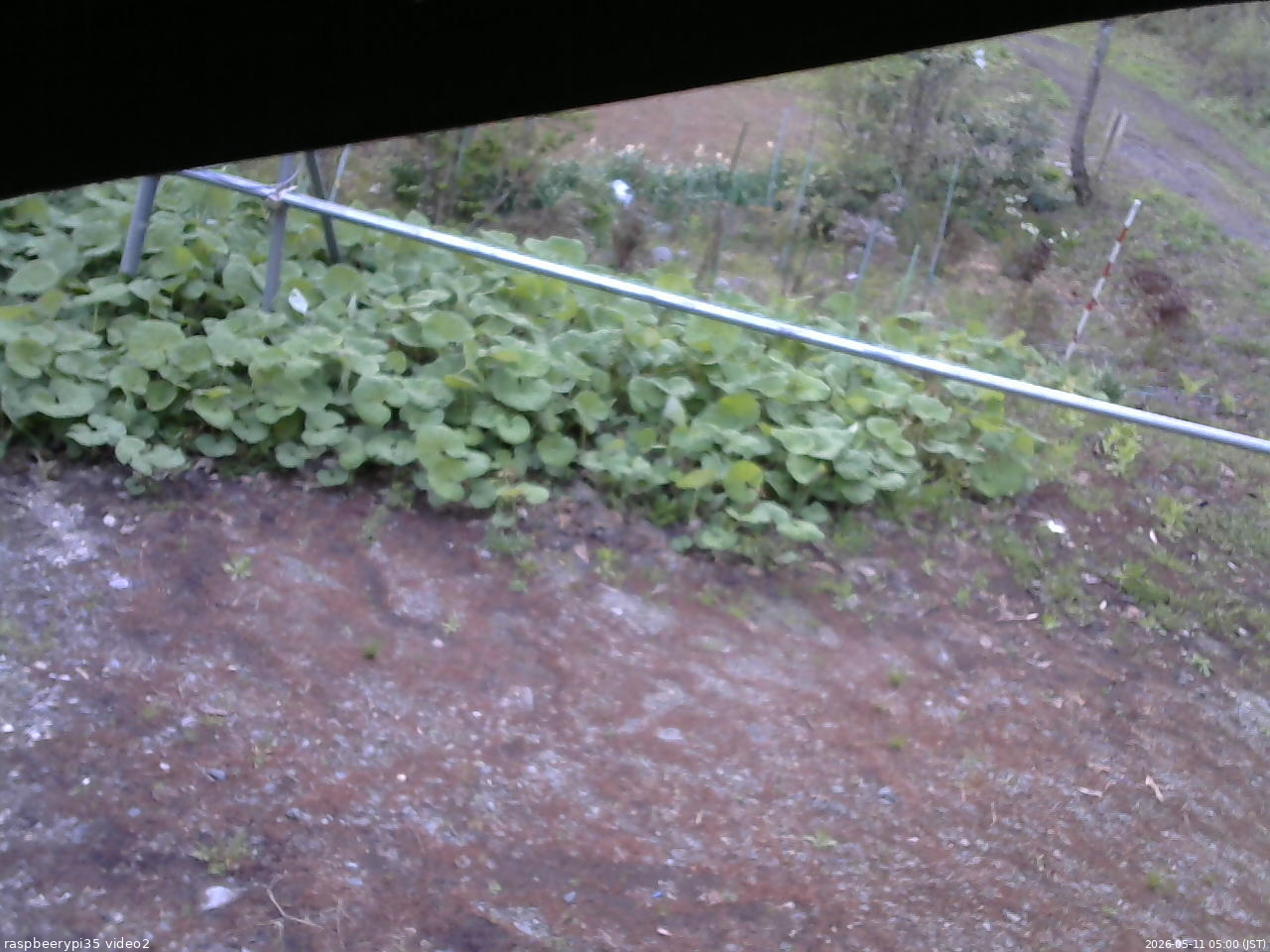 長野県菅平高原 ゆたか山荘 駐車場 2026/05/11 05:00