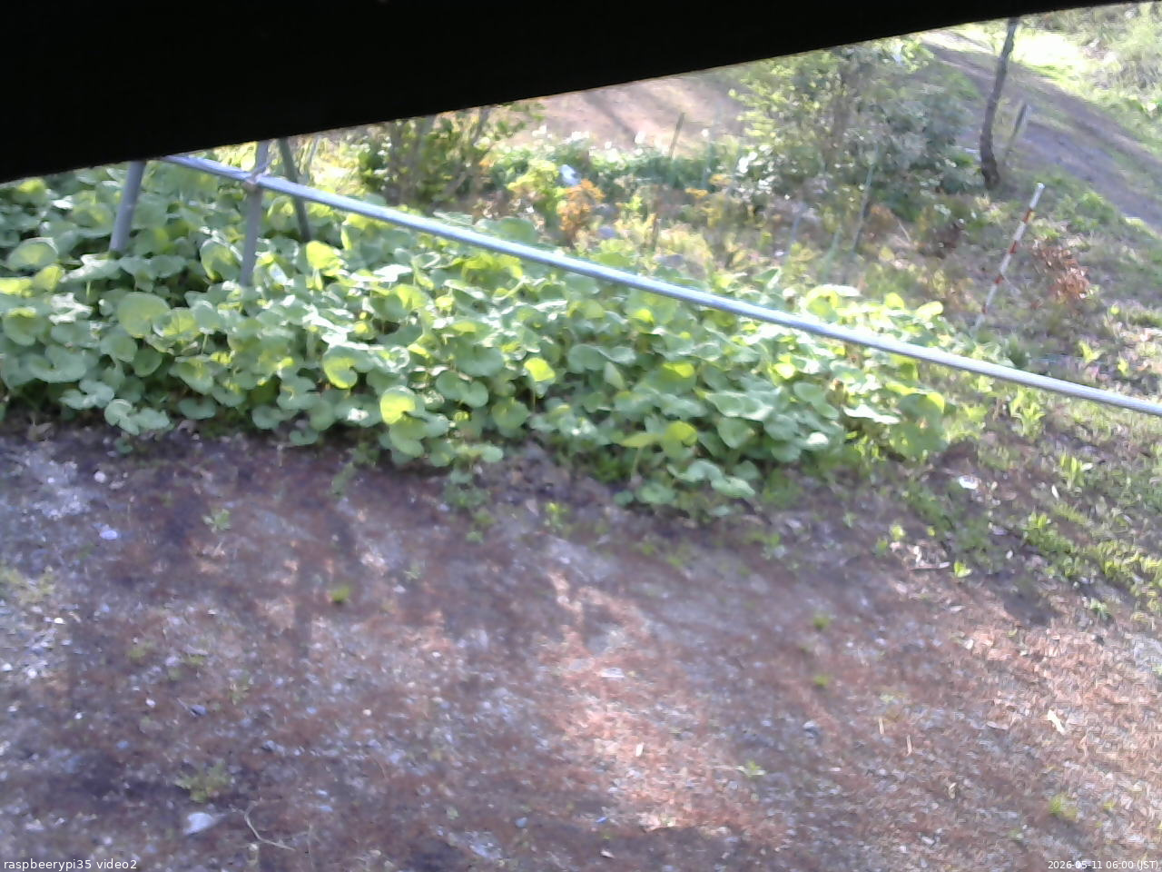 長野県菅平高原 ゆたか山荘 駐車場 2026/05/11 06:00