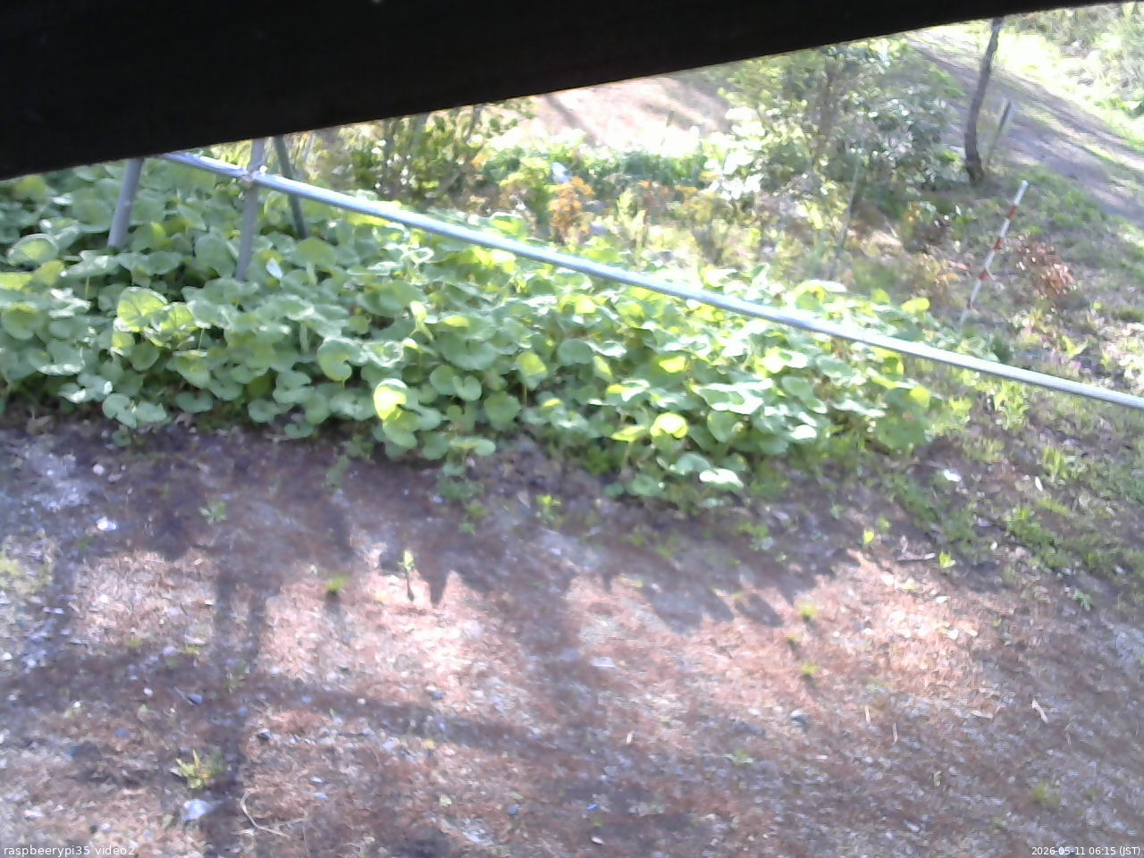 長野県菅平高原 ゆたか山荘 駐車場 2026/05/11 06:15