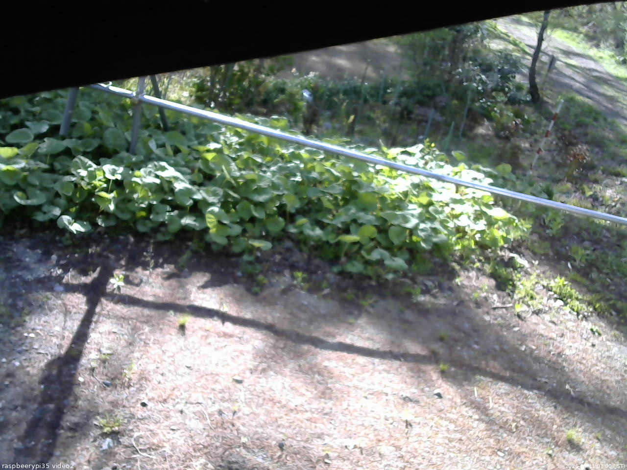 長野県菅平高原 ゆたか山荘 駐車場 2026/05/11 07:00
