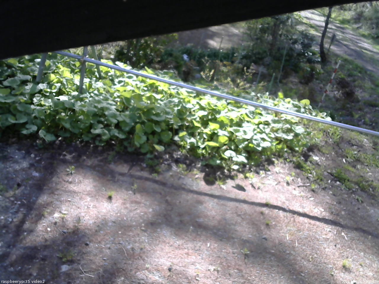 長野県菅平高原 ゆたか山荘 駐車場 2026/05/11 07:30
