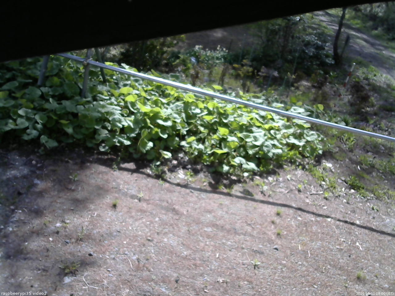 長野県菅平高原 ゆたか山荘 駐車場 2026/05/11 08:00