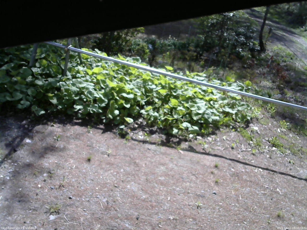 長野県菅平高原 ゆたか山荘 駐車場 2026/05/11 08:15