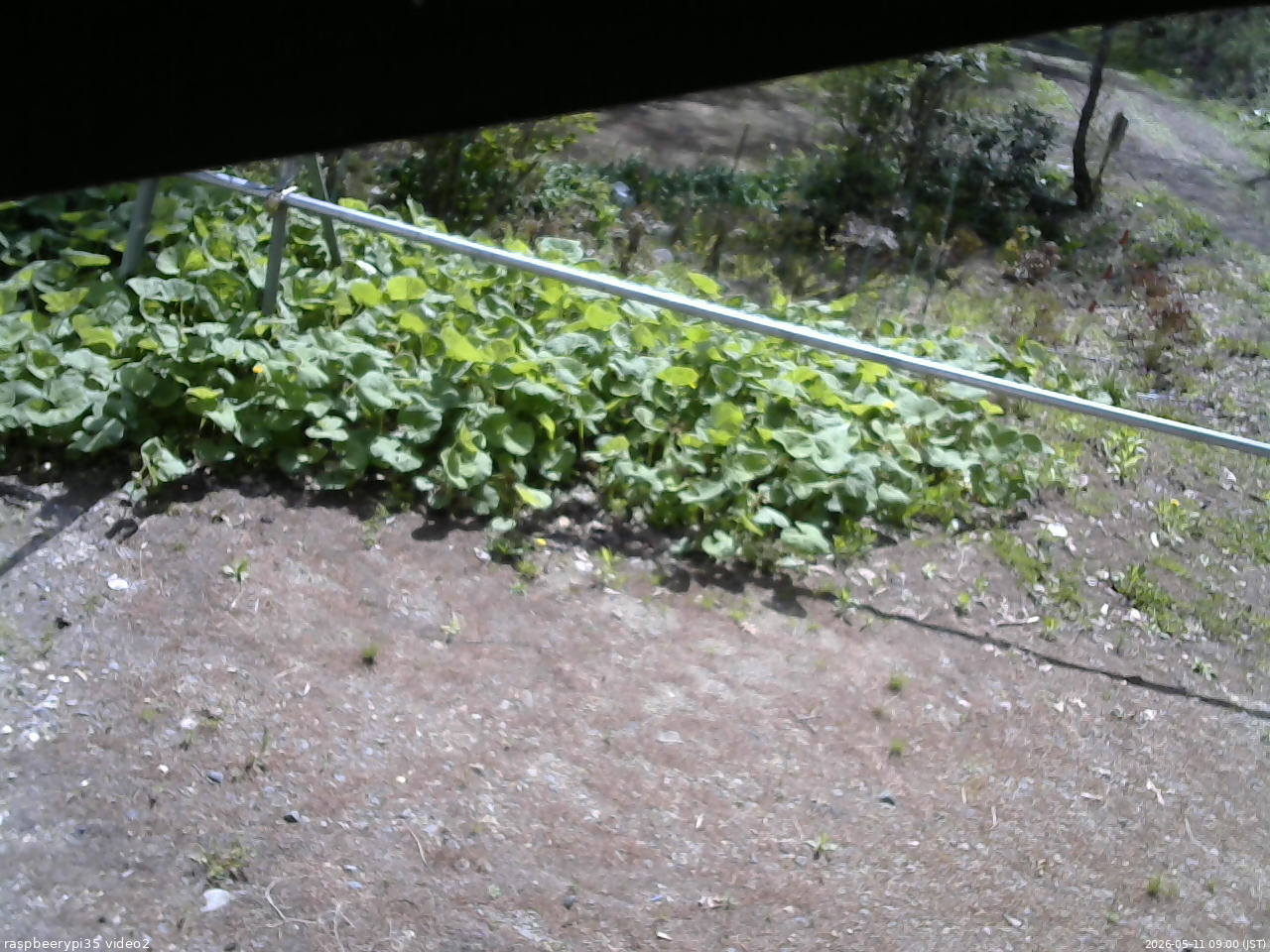 長野県菅平高原 ゆたか山荘 駐車場 2026/05/11 09:00