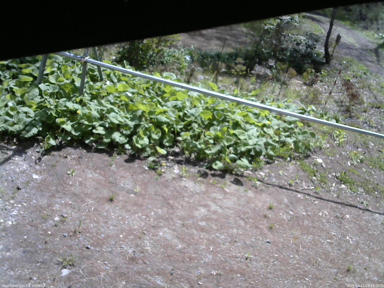 長野県菅平高原 ゆたか山荘 駐車場 2026/05/11 09:15