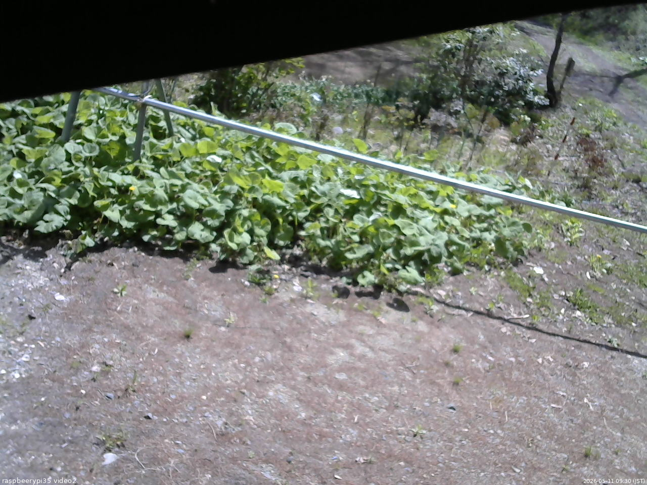 長野県菅平高原 ゆたか山荘 駐車場 2026/05/11 09:30