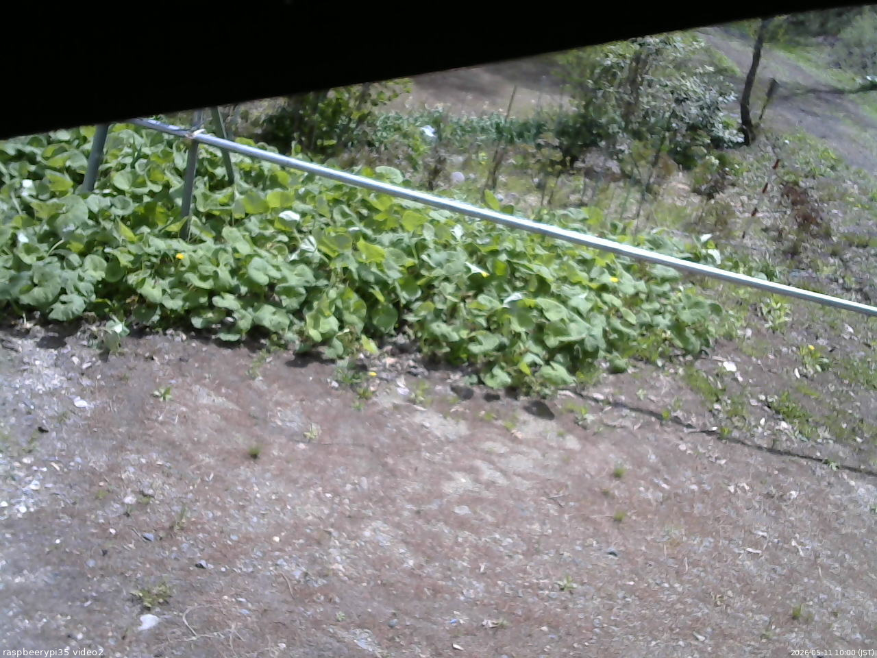 長野県菅平高原 ゆたか山荘 駐車場 2026/05/11 10:00