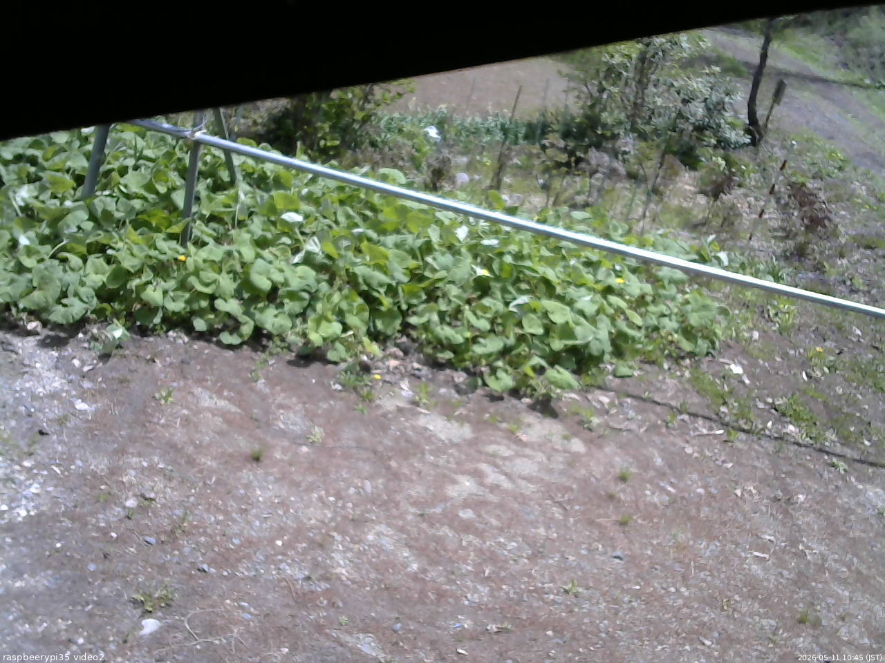 長野県菅平高原 ゆたか山荘 駐車場 2026/05/11 10:45