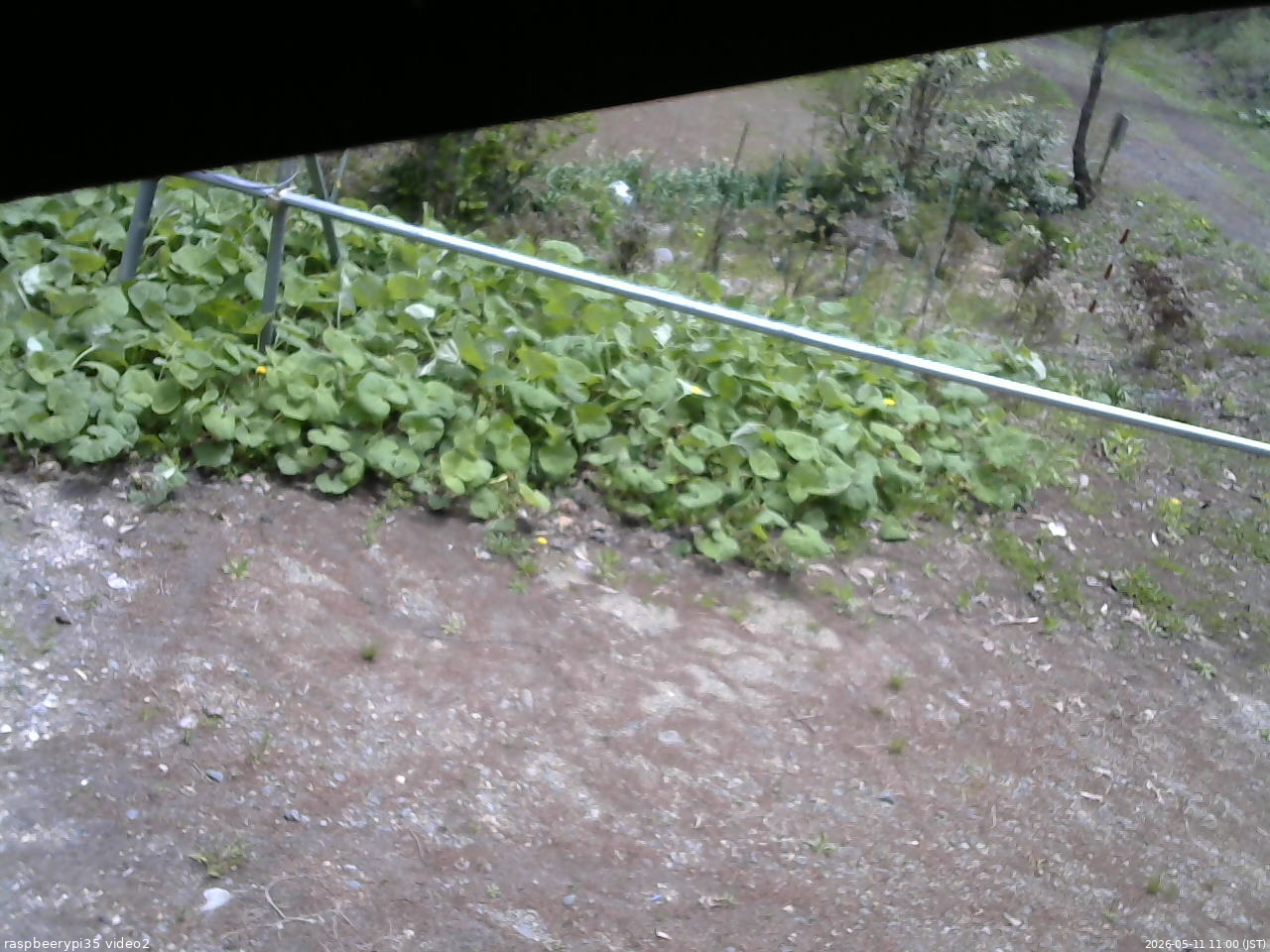 長野県菅平高原 ゆたか山荘 駐車場 2026/05/11 11:00