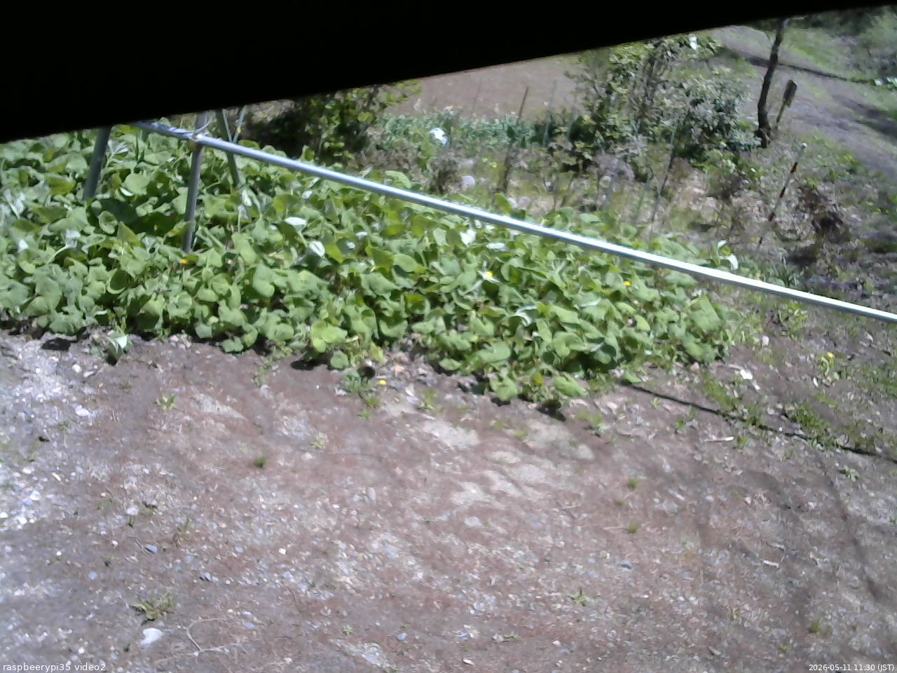 長野県菅平高原 ゆたか山荘 駐車場 2026/05/11 11:30