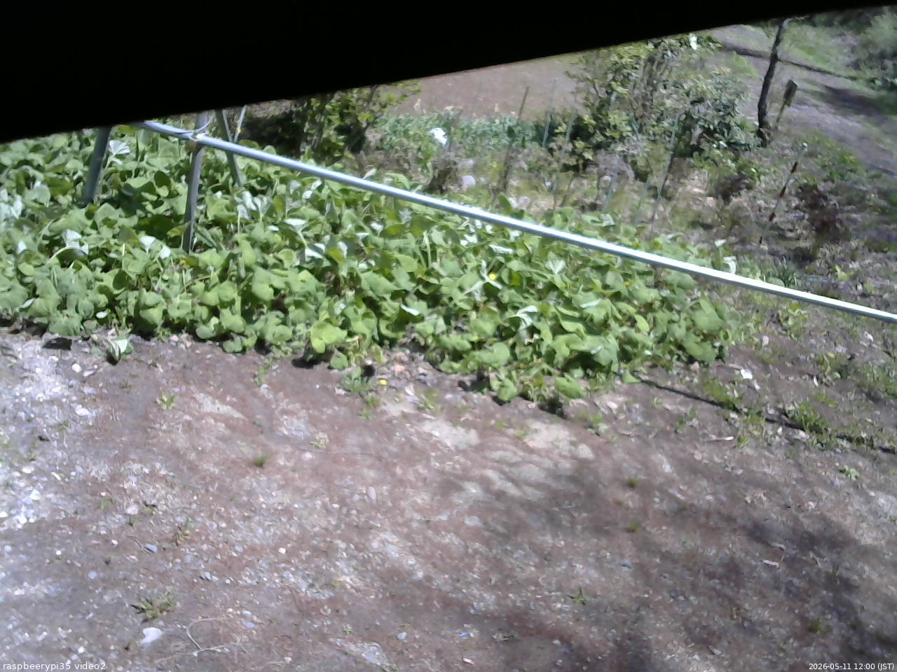 長野県菅平高原 ゆたか山荘 駐車場 2026/05/11 12:00