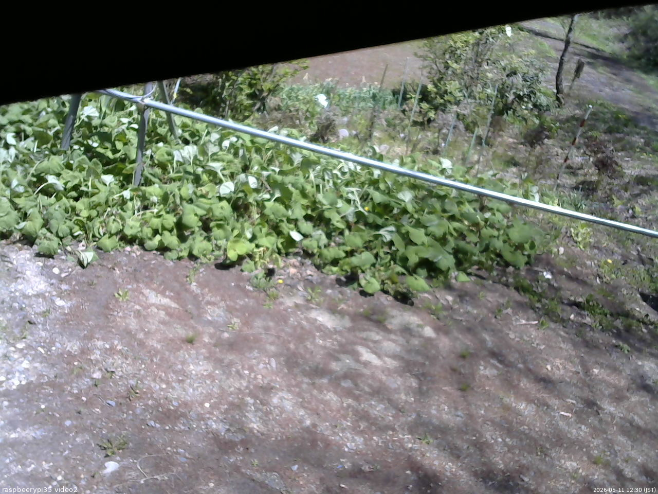 長野県菅平高原 ゆたか山荘 駐車場 2026/05/11 12:30
