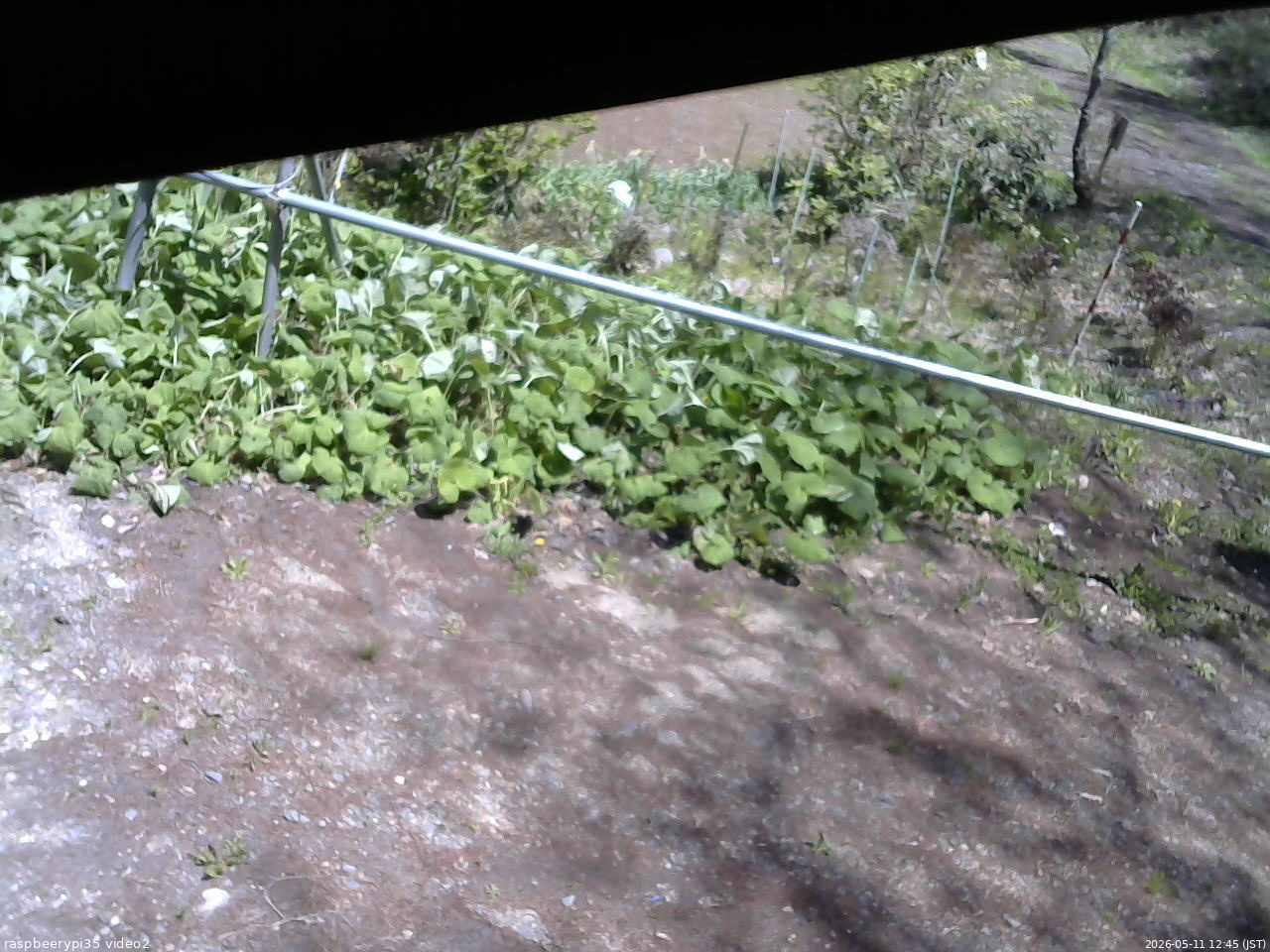 長野県菅平高原 ゆたか山荘 駐車場 2026/05/11 12:45