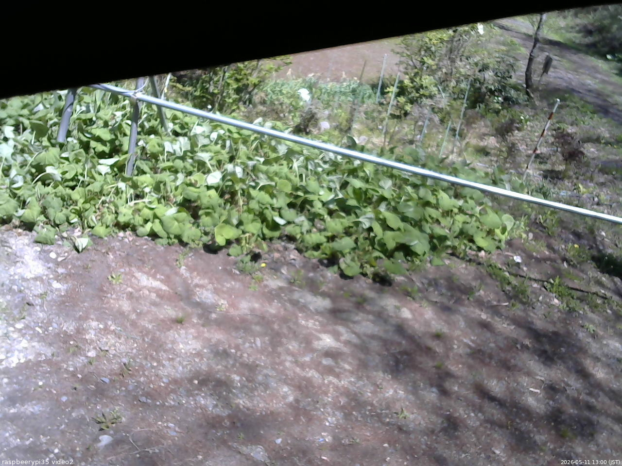 長野県菅平高原 ゆたか山荘 駐車場 2026/05/11 13:00
