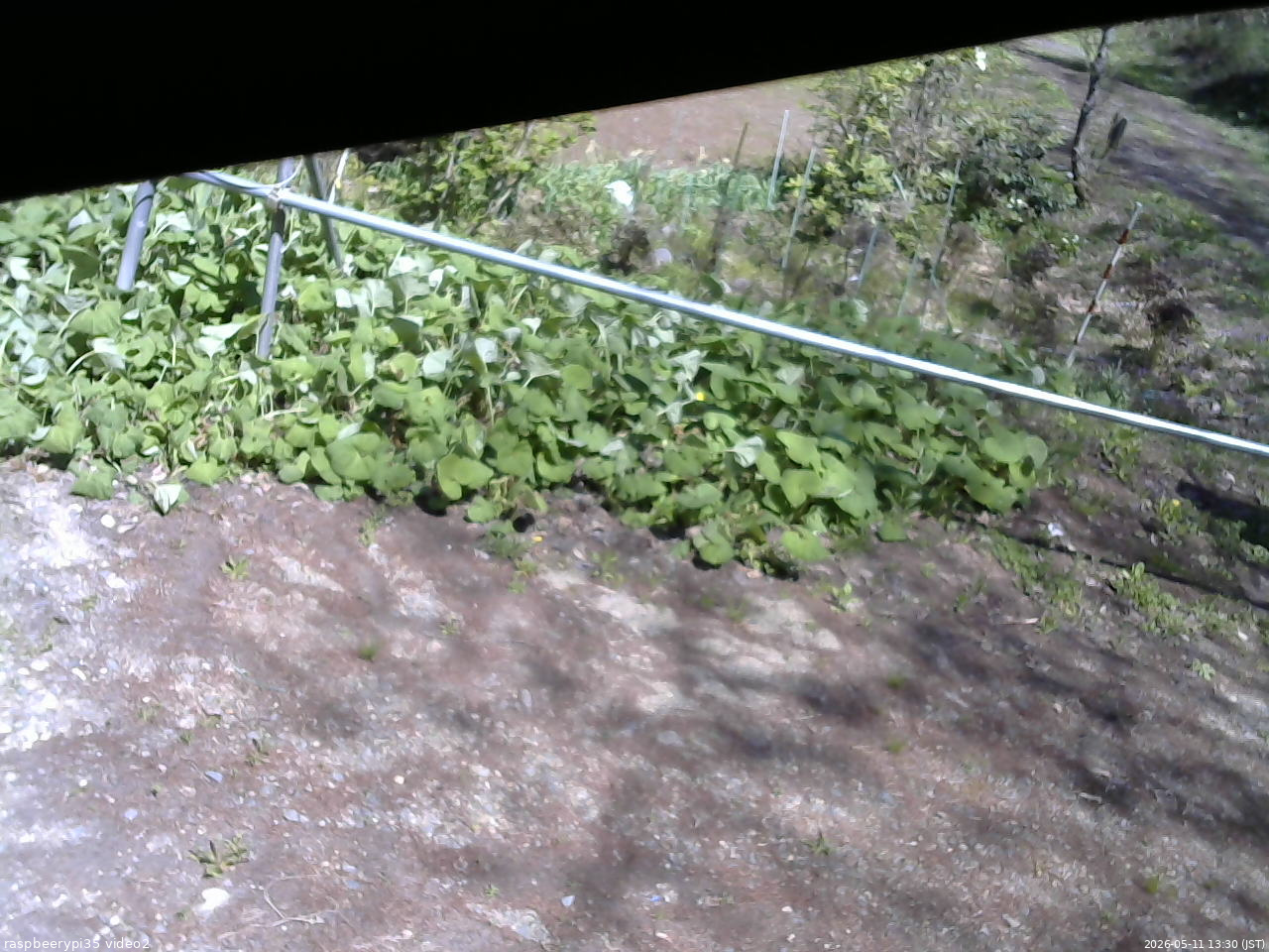 長野県菅平高原 ゆたか山荘 駐車場 2026/05/11 13:30