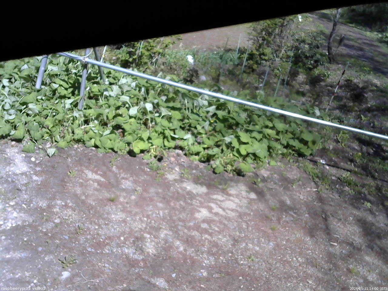 長野県菅平高原 ゆたか山荘 駐車場 2026/05/11 14:00