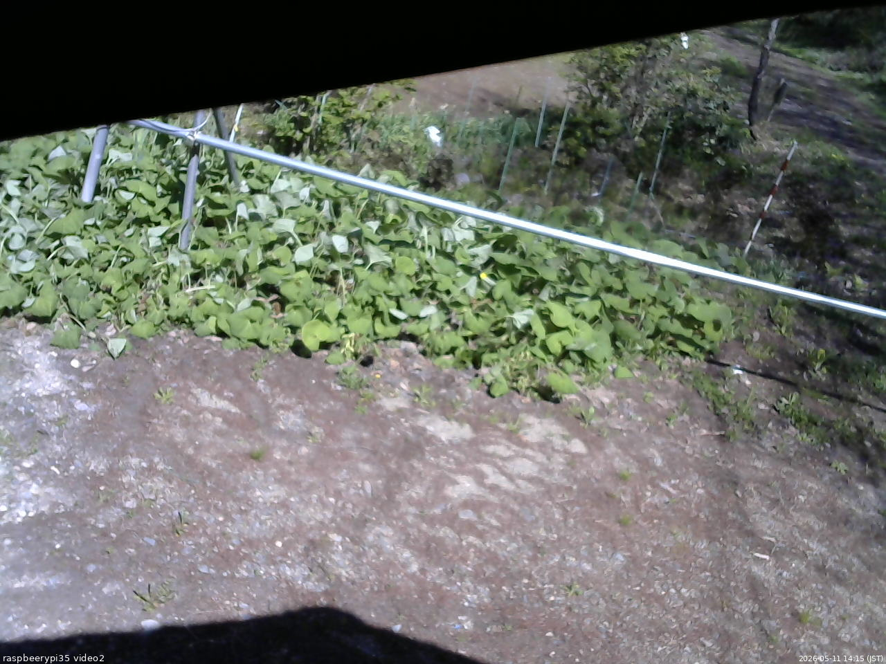 長野県菅平高原 ゆたか山荘 駐車場 2026/05/11 14:15