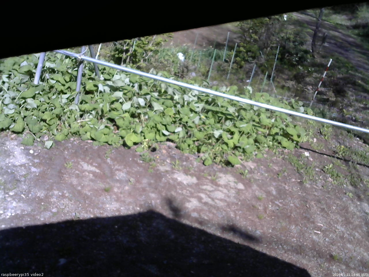 長野県菅平高原 ゆたか山荘 駐車場 2026/05/11 14:45