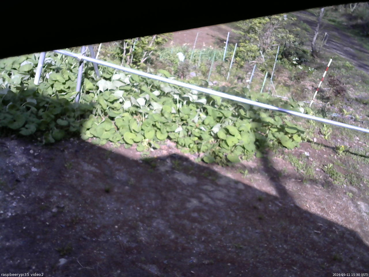 長野県菅平高原 ゆたか山荘 駐車場 2026/05/11 15:30