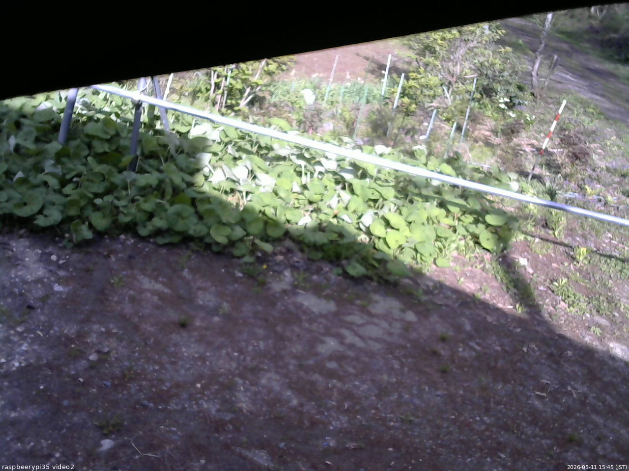 長野県菅平高原 ゆたか山荘 駐車場 2026/05/11 15:45