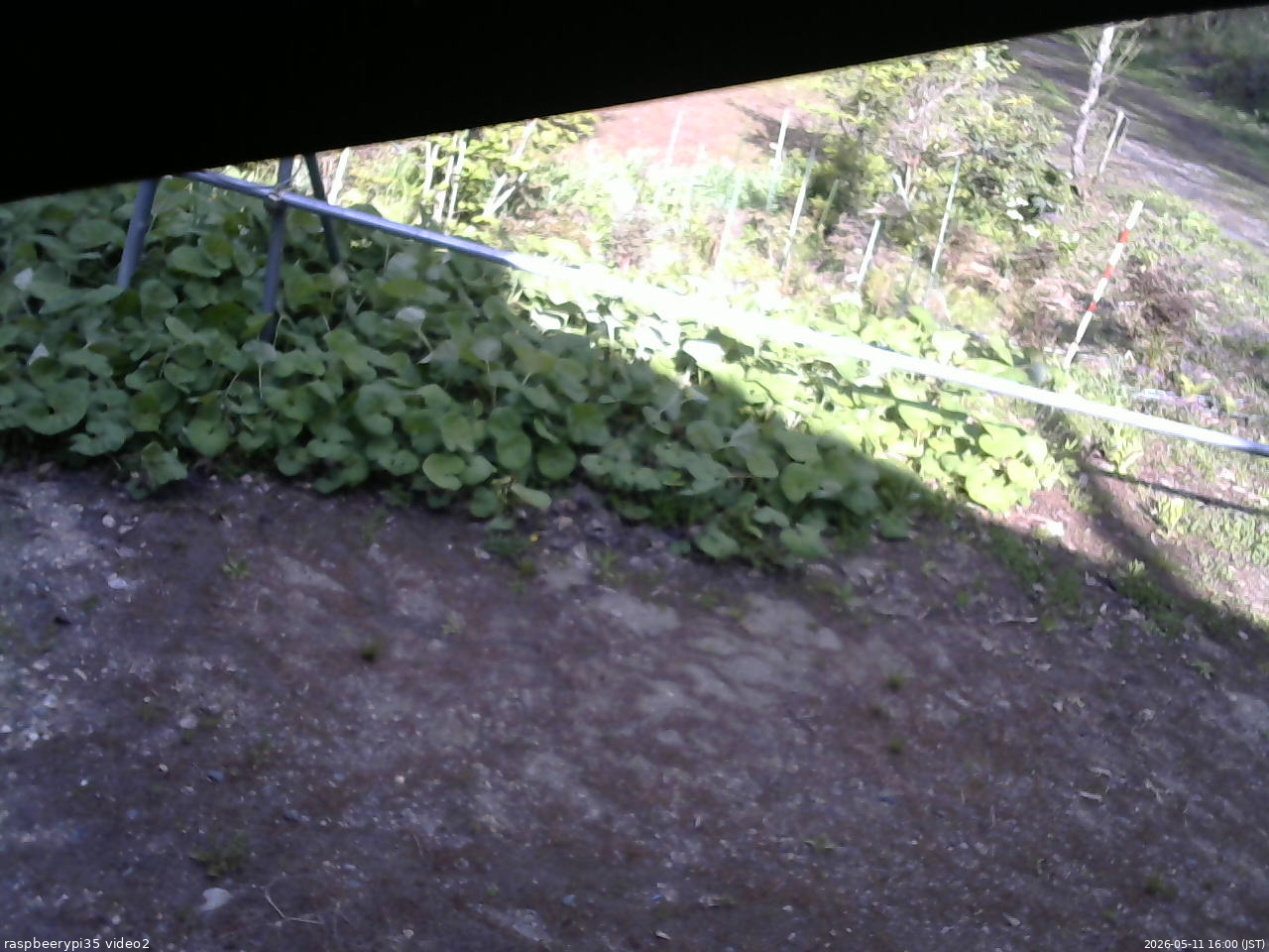 長野県菅平高原 ゆたか山荘 駐車場 2026/05/11 16:00