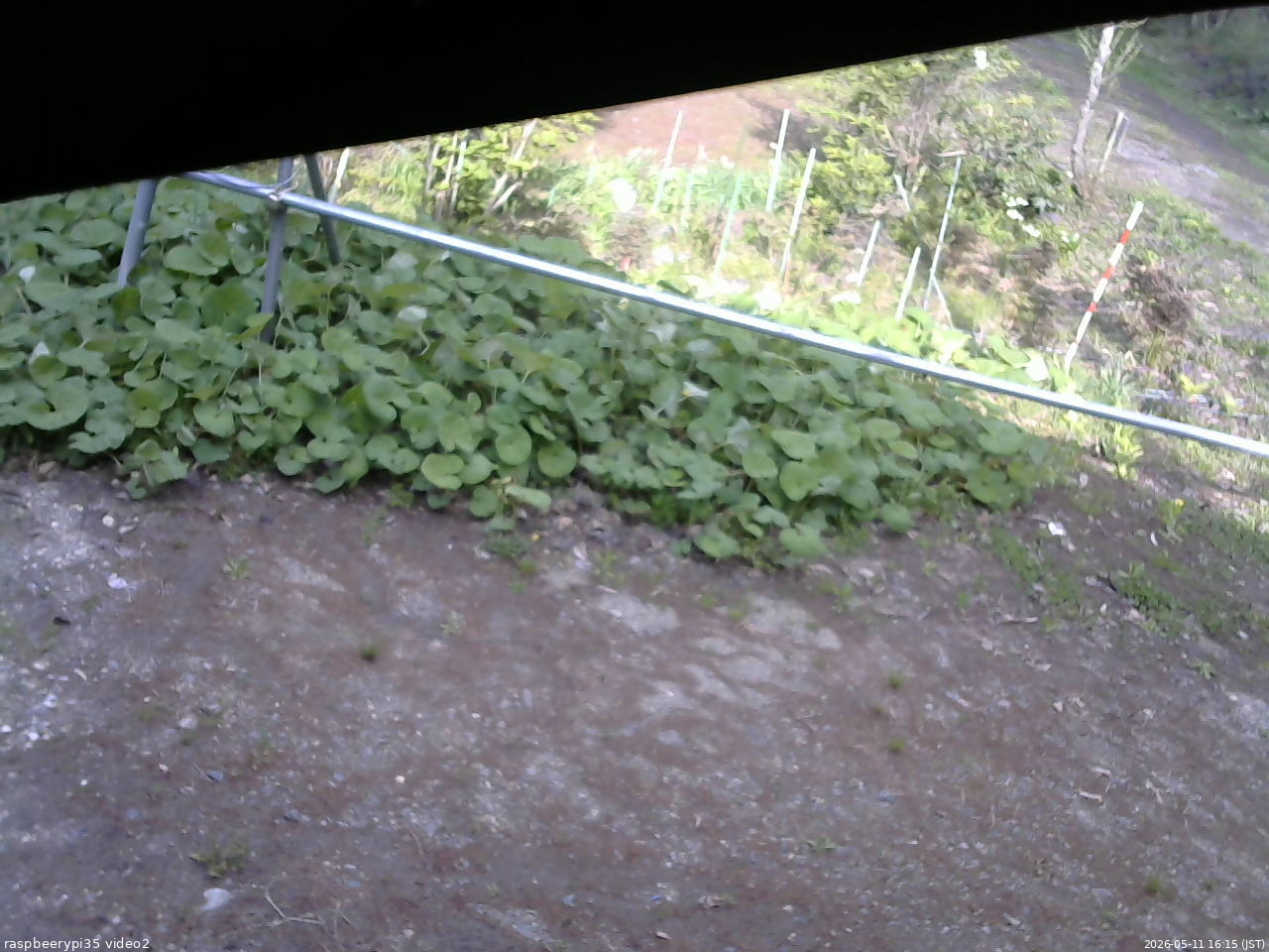 長野県菅平高原 ゆたか山荘 駐車場 2026/05/11 16:15