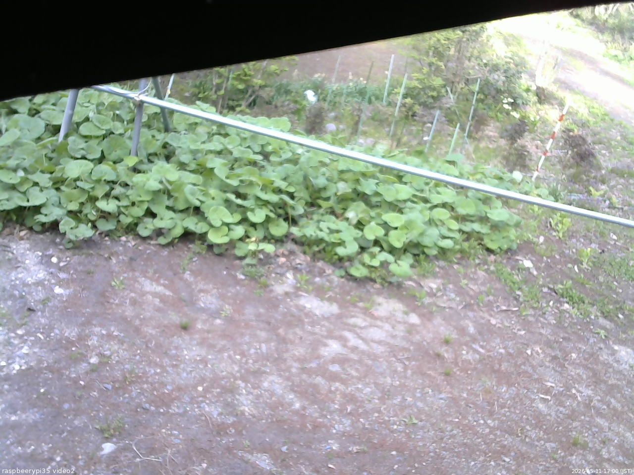 長野県菅平高原 ゆたか山荘 駐車場 2026/05/11 17:00