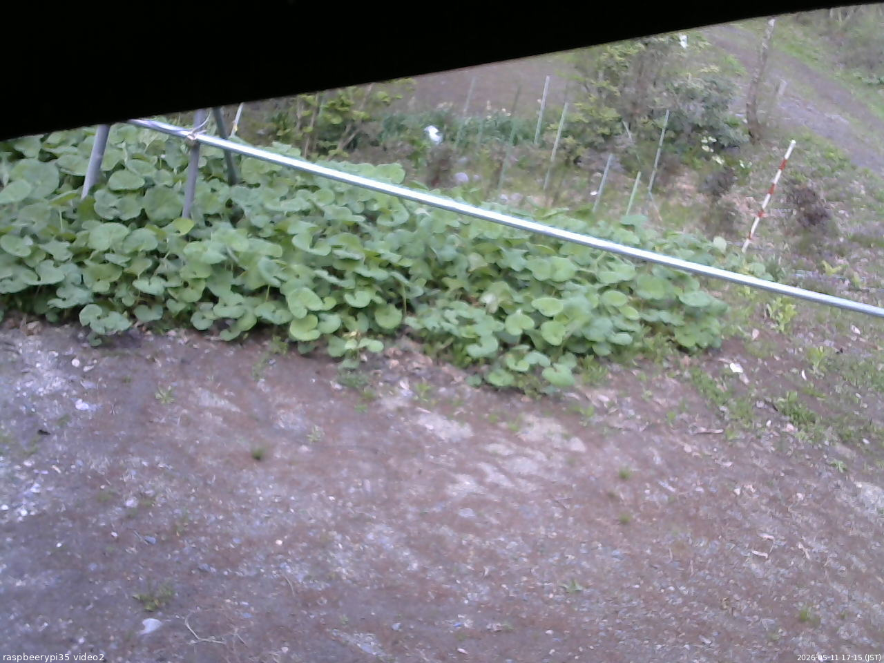 長野県菅平高原 ゆたか山荘 駐車場 2026/05/11 17:15