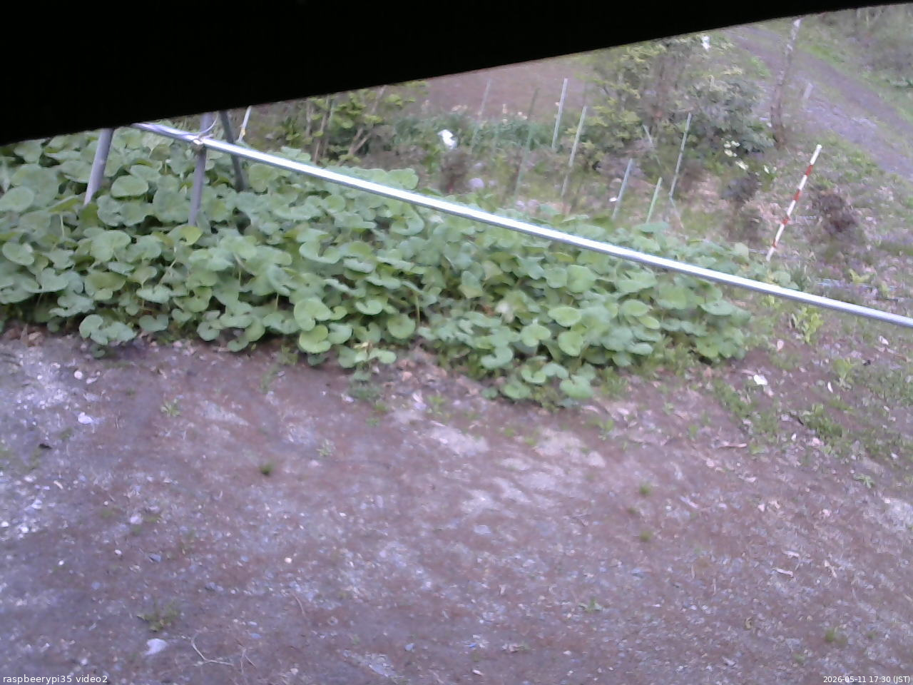 長野県菅平高原 ゆたか山荘 駐車場 2026/05/11 17:30