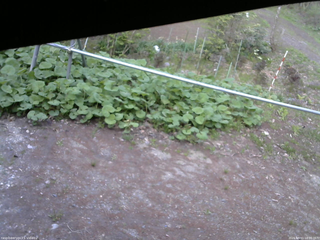長野県菅平高原 ゆたか山荘 駐車場 2026/05/11 18:00