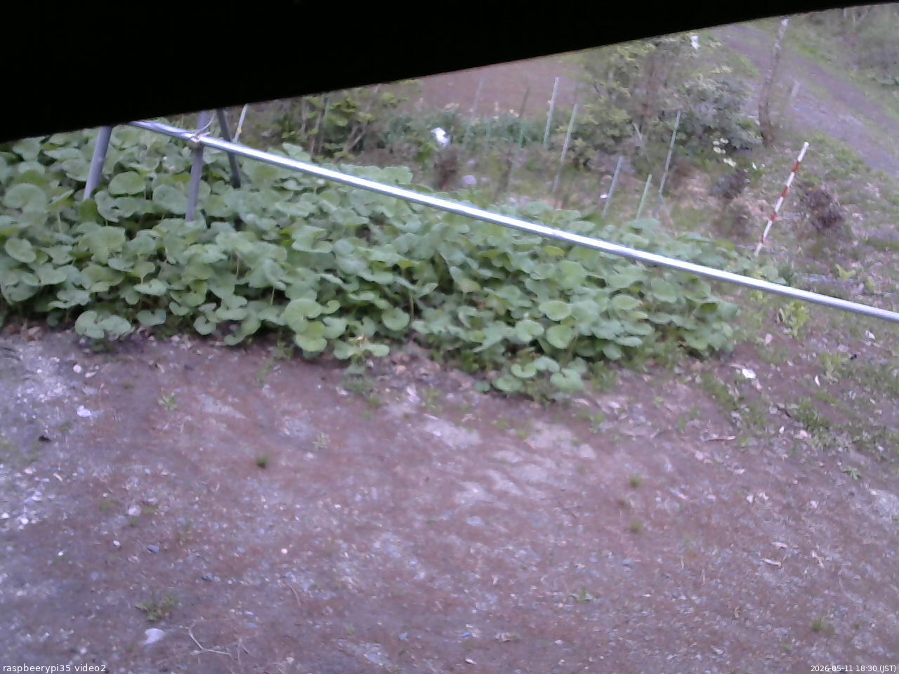 長野県菅平高原 ゆたか山荘 駐車場 2026/05/11 18:30