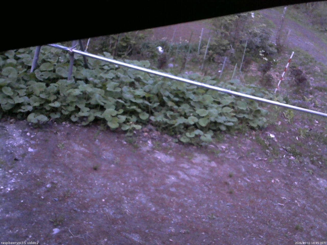 長野県菅平高原 ゆたか山荘 駐車場 2026/05/11 18:45