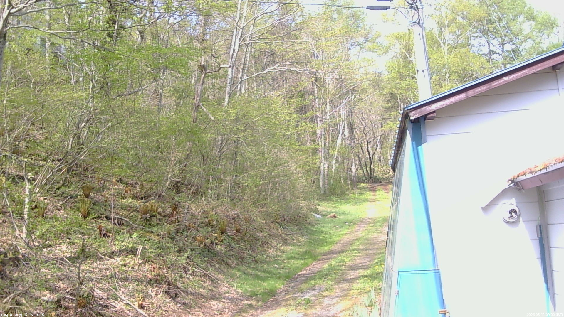 長野県菅平高原 ゆたか山荘 ゆたか山荘 2026/05/11 09:00