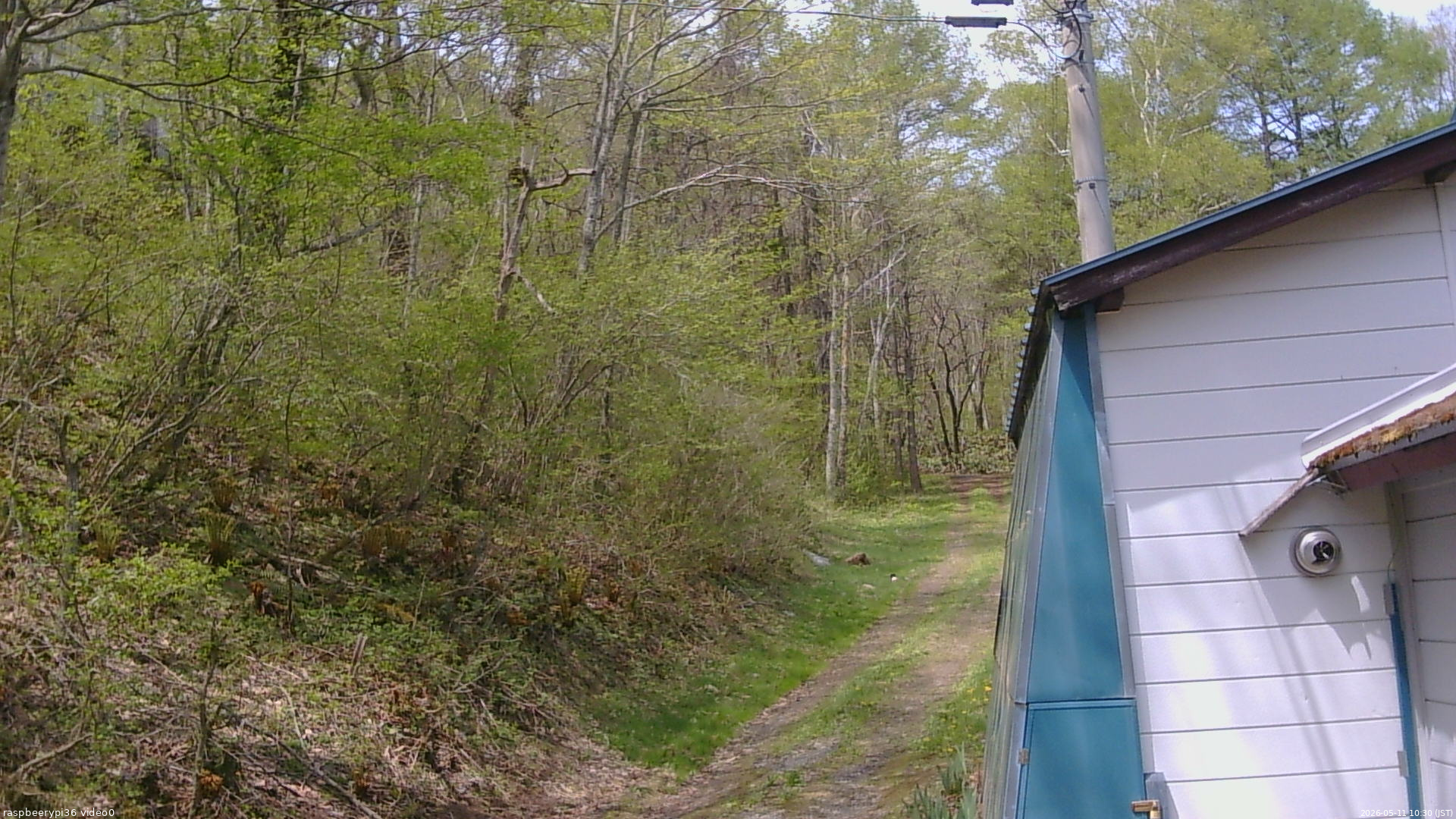 長野県菅平高原 ゆたか山荘 ゆたか山荘 2026/05/11 10:30