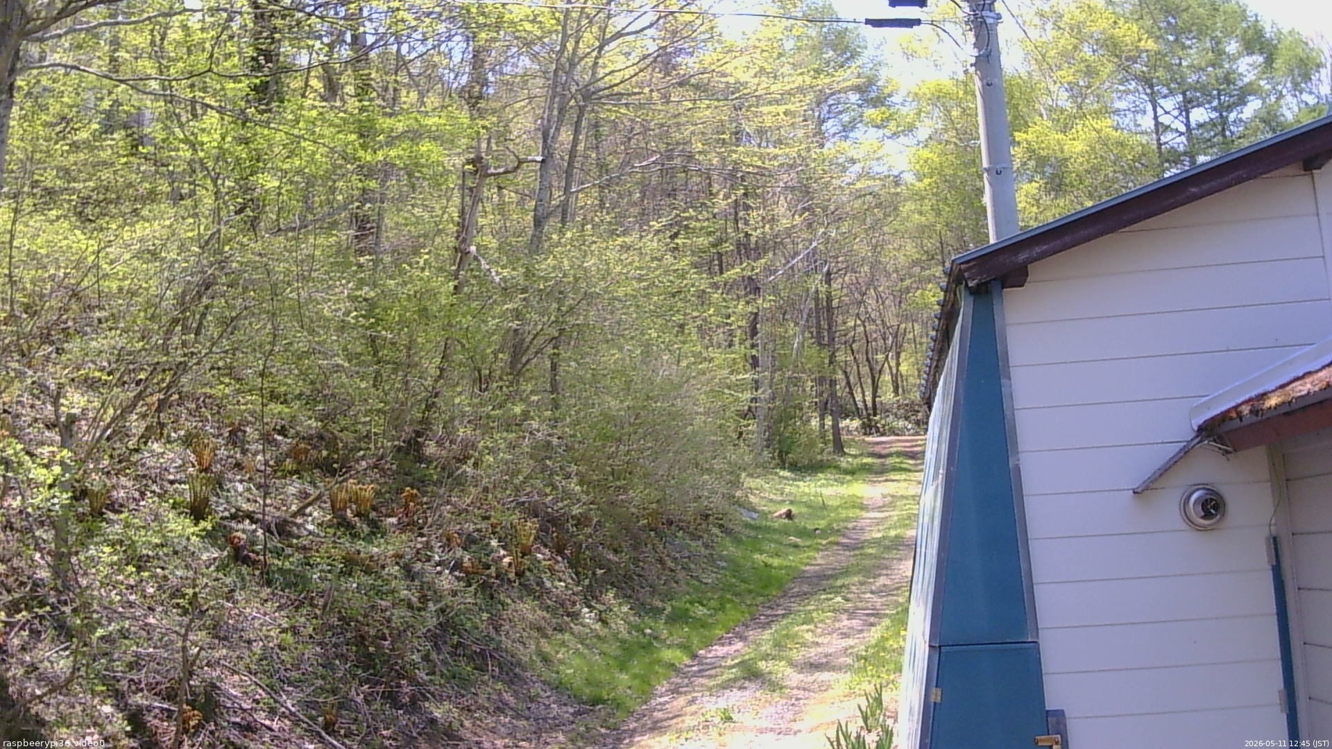 長野県菅平高原 ゆたか山荘 ゆたか山荘 2026/05/11 12:45